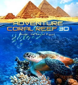 Adventure Coral Reef