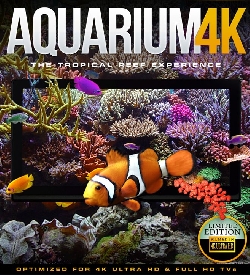 Aquarium 4k Tropical Reef