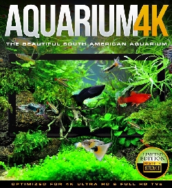 Aquarium 4k