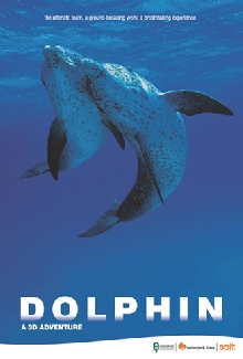 Dolphin: A 3D Adventure