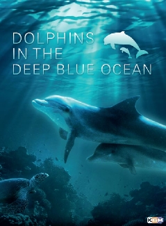 Dolphins In The Deep Blue Ocean