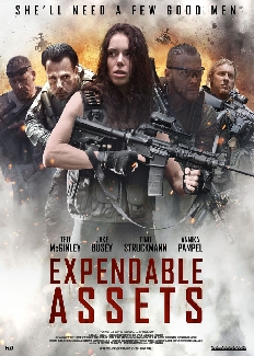 Expendable Assets