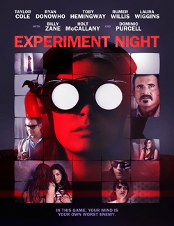 Experiment Night