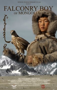 Falconry Boy of Mongolia