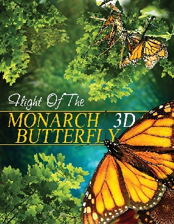Flight of the Monarch Butterfly