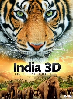 India 3D - On The Trail Of The Tiger
