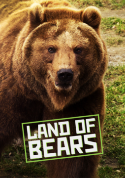 Land Of Bears