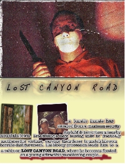 Lost Canyon Road