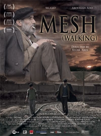 Mesh (Walking)