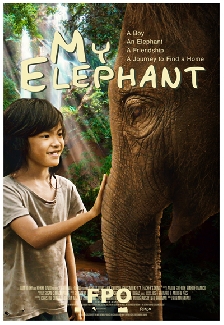 My Elephant