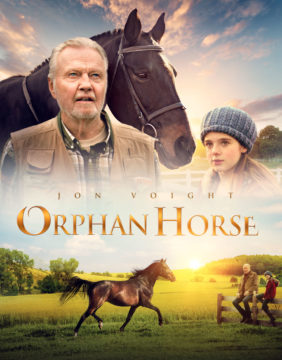 ORPHAN HORSE