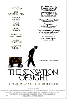 Sensation of Sight