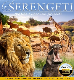 Serengeti 4k