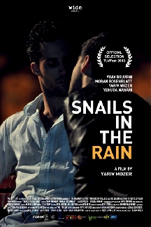 Snails in the Rain