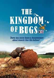 The Kingdom of Bugs