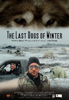 The Last Dogs of Winter