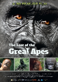 The Last Of The Great Apes