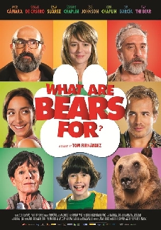 WHAT ARE BEARS FOR ?
