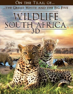 Wildlifeth Africa