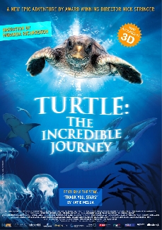 3D Turtle: The incredible Journey