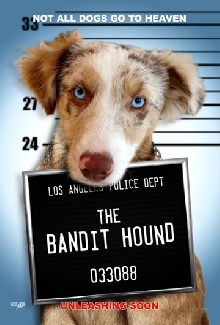 Bandit Hound