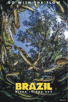 Brazil: River In The Sky