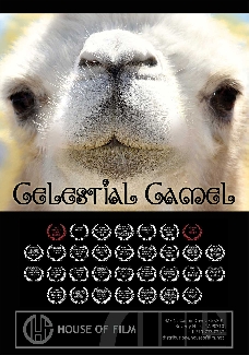 Celestial Camel