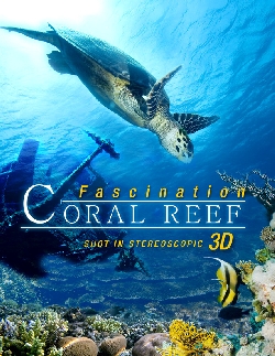 Coral Reef 3D