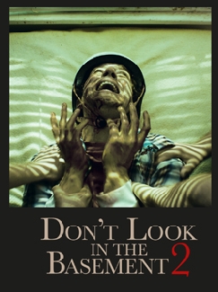 Don't Look in the Basement 2