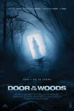 Door in the Wood
