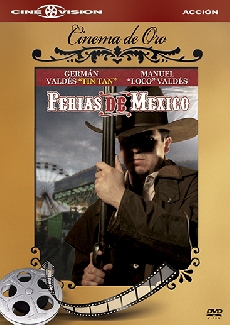 Ferias De Mexico