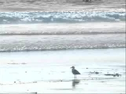 I Know My Daddy Loves Me