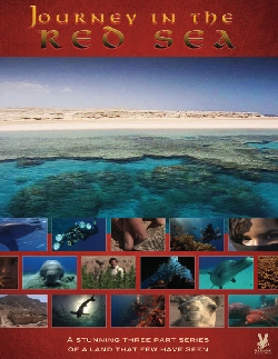Journey in the Red Sea