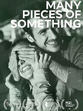 Many Pieces Of Something