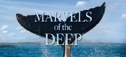 Marvels of the Deep