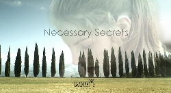 Necessary Secrets