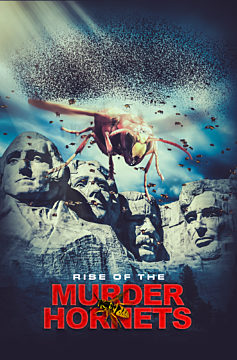 Rise of the Murder Hornets