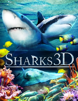Sharks 3D