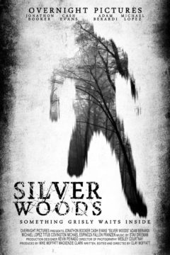 SILVER WOODS 
