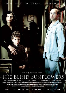 The Blind Sunflowers