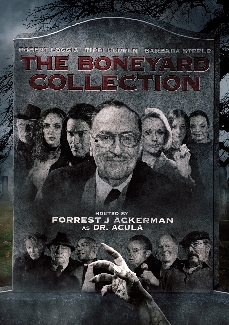 The Boneyard Collection