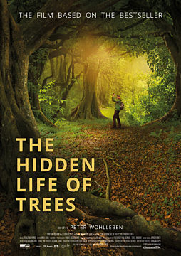 the hidden life of trees paperback