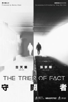 The Trier of Fact