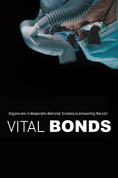 Vital Bonds