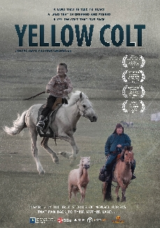 Yellow Colt